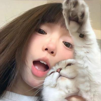 嫌猪手事件簿