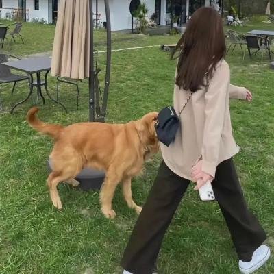 铁核桃之无间风云