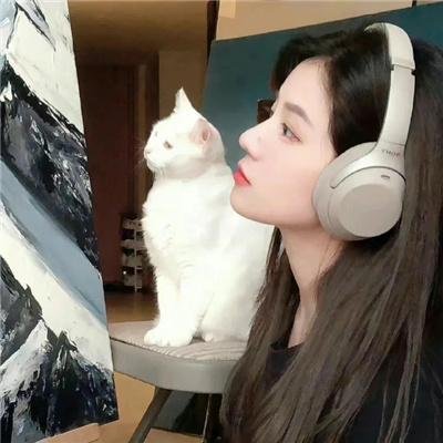 与鸭共舞