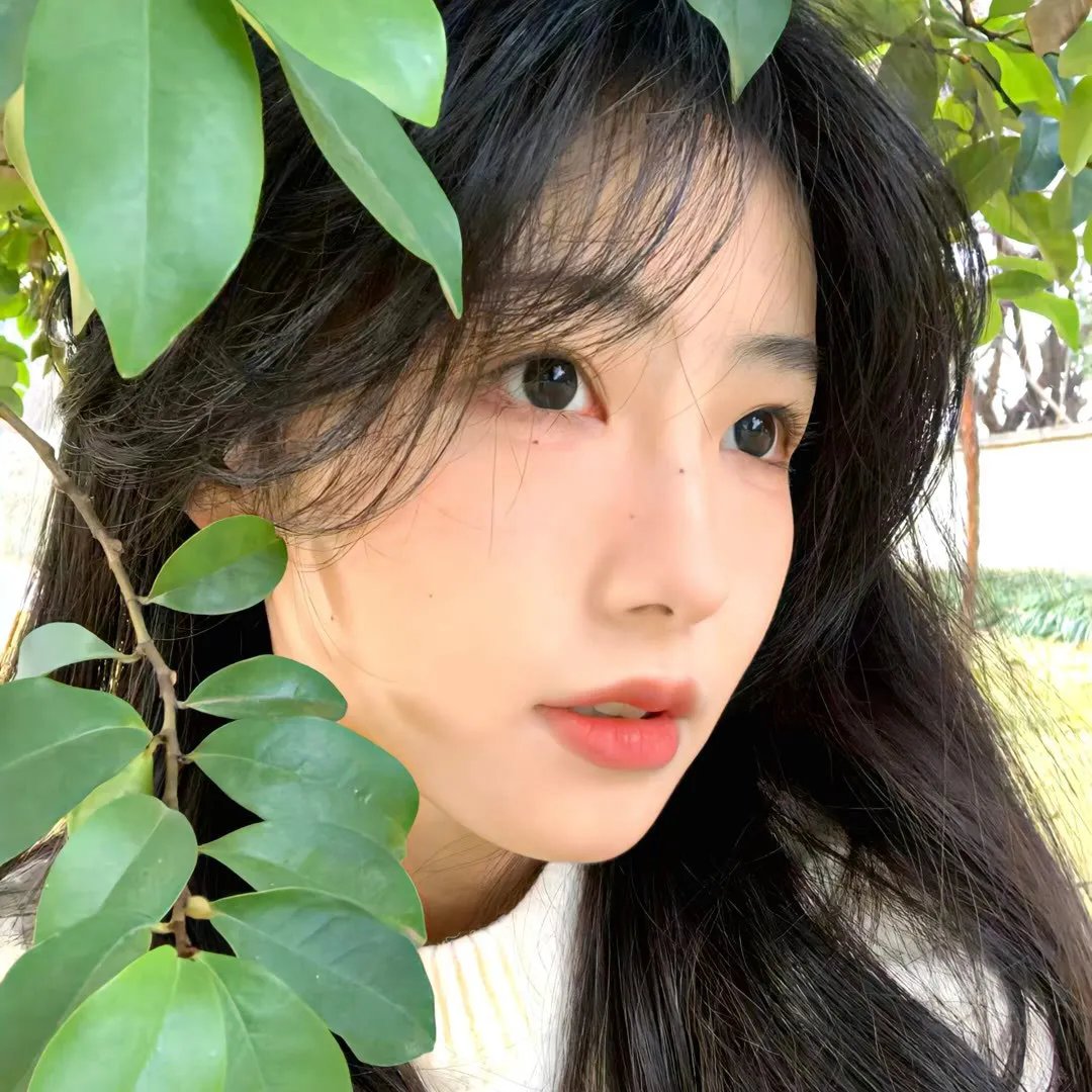 迷案追凶